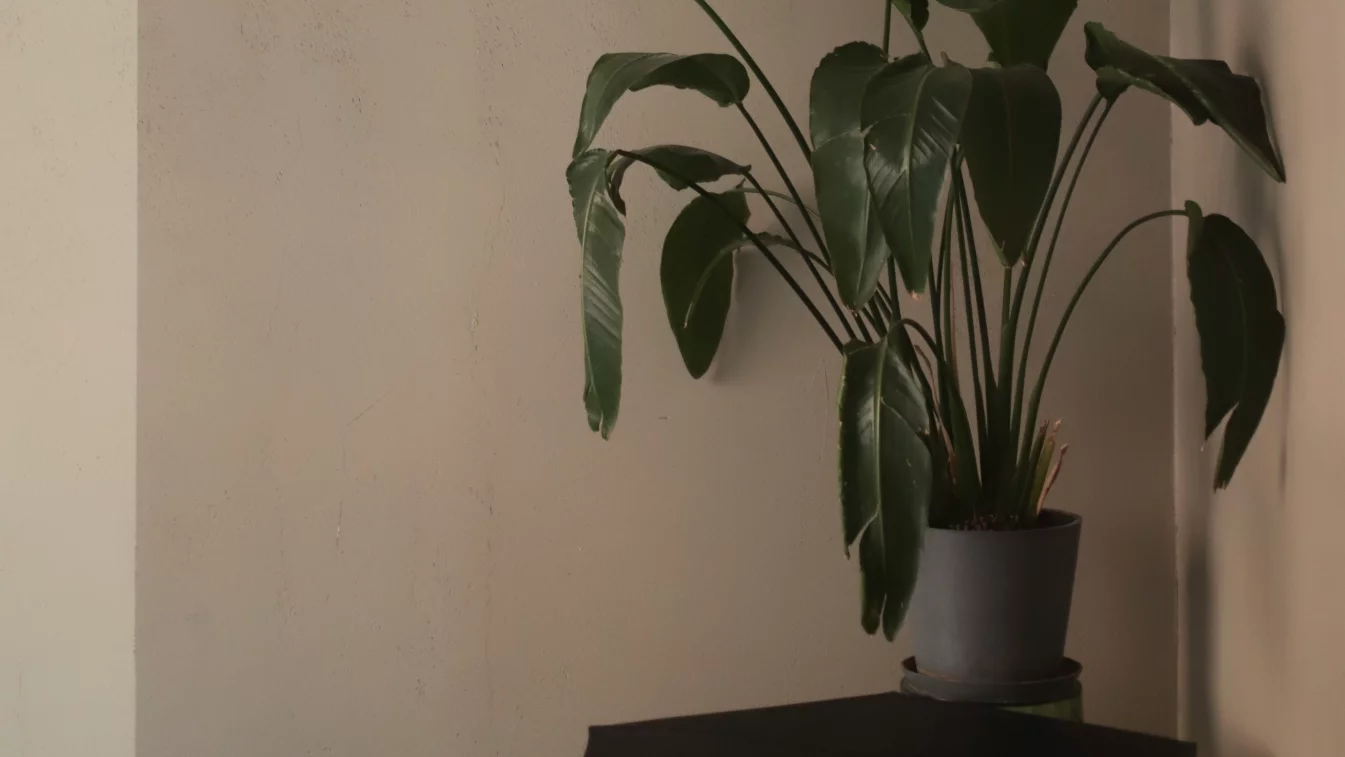 прмер в интерьере